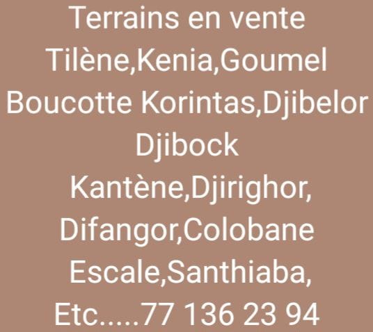 A promotional image showcases a list of available land for sale, featuring various locations such as Tilène, Kenia, Goumel, and others. Contact information is provided at the bottom for inquiries, with emphasis on multiple area names displayed in a clear, easy-to-read style.