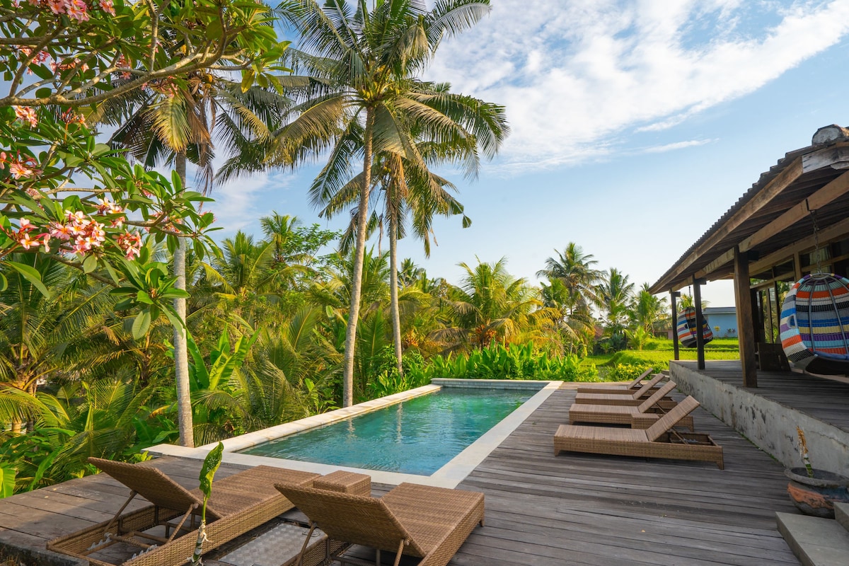 A serene outdoor area features a refreshing pool surrounded by lush greenery. Comfortable lounge chairs are positioned alongside the pool, offering a place to relax and enjoy the tranquil views of palm trees and tropical landscape.