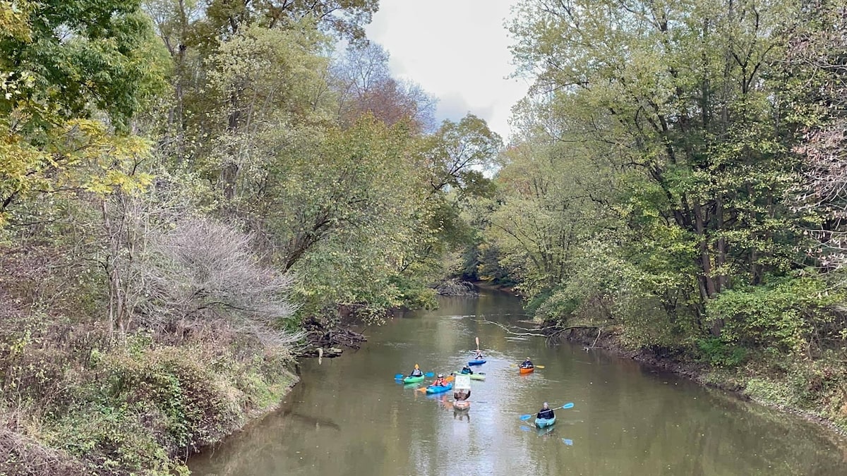 A calm river scene is depicted, surrounded by lush green trees in various shades. Several kayakers in brightly colored kayaks can be seen paddling leisurely along the water, reflecting the peaceful nature of the area.
