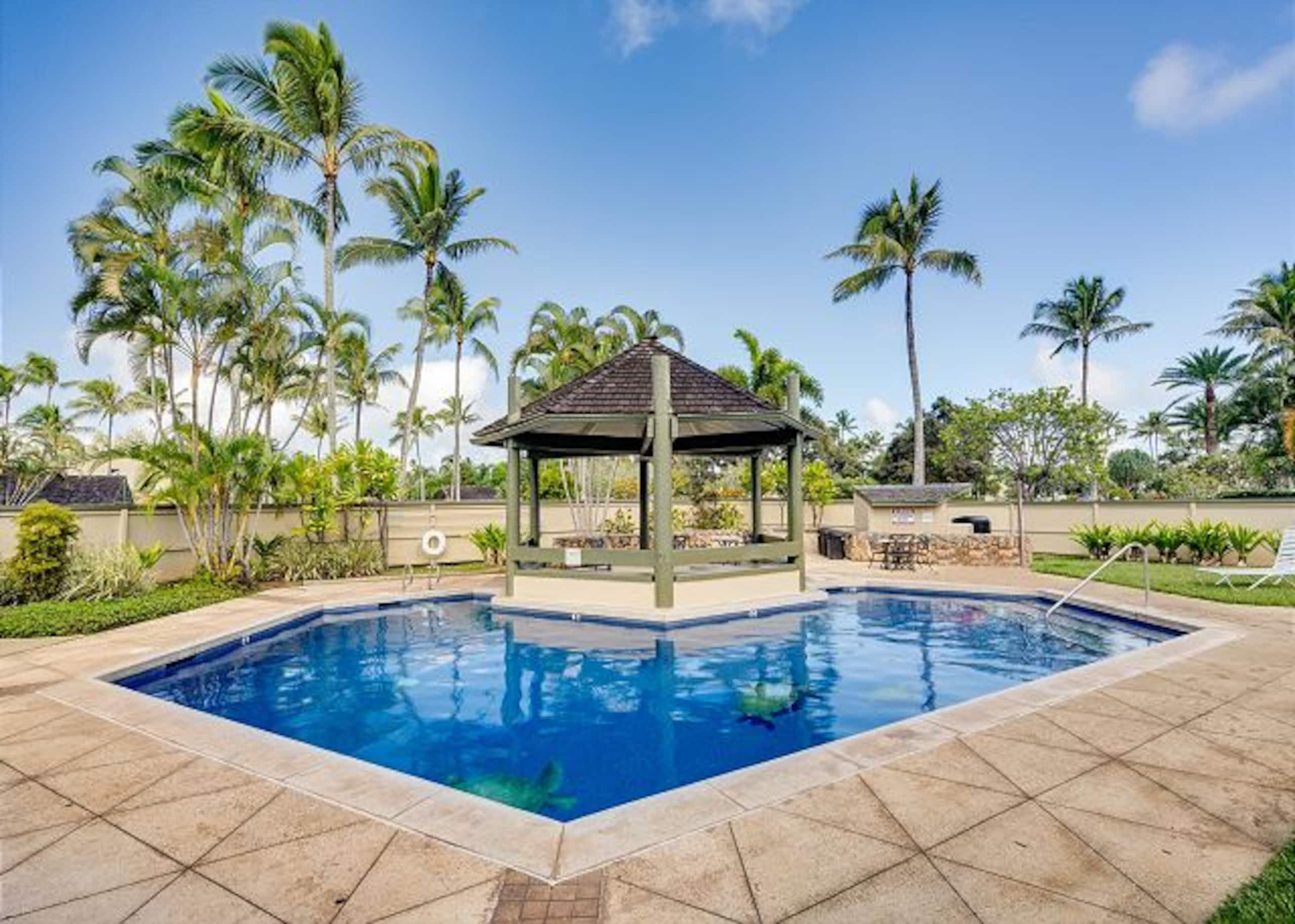 Hidden gem at North Shore Turtle Bay - Image 31