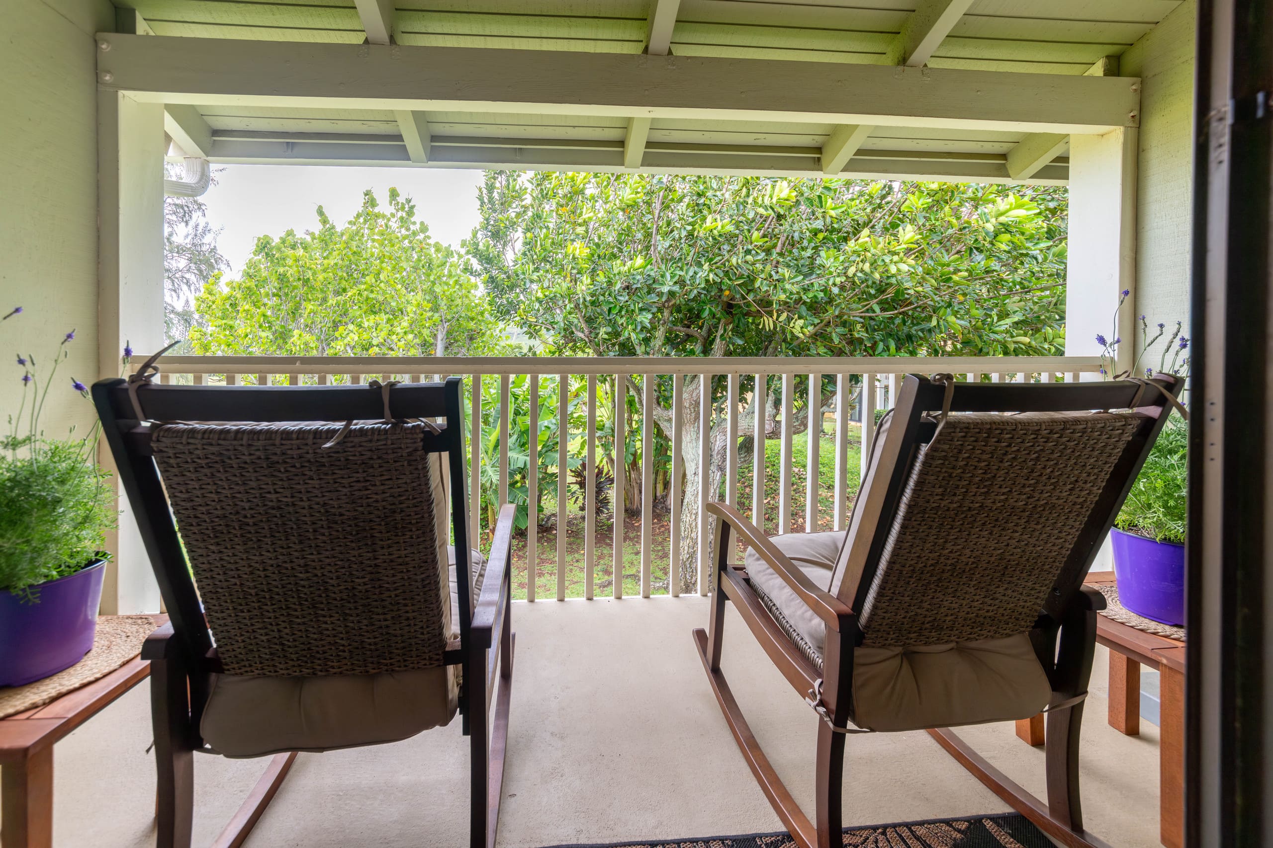 Hidden gem at North Shore Turtle Bay - Image 28