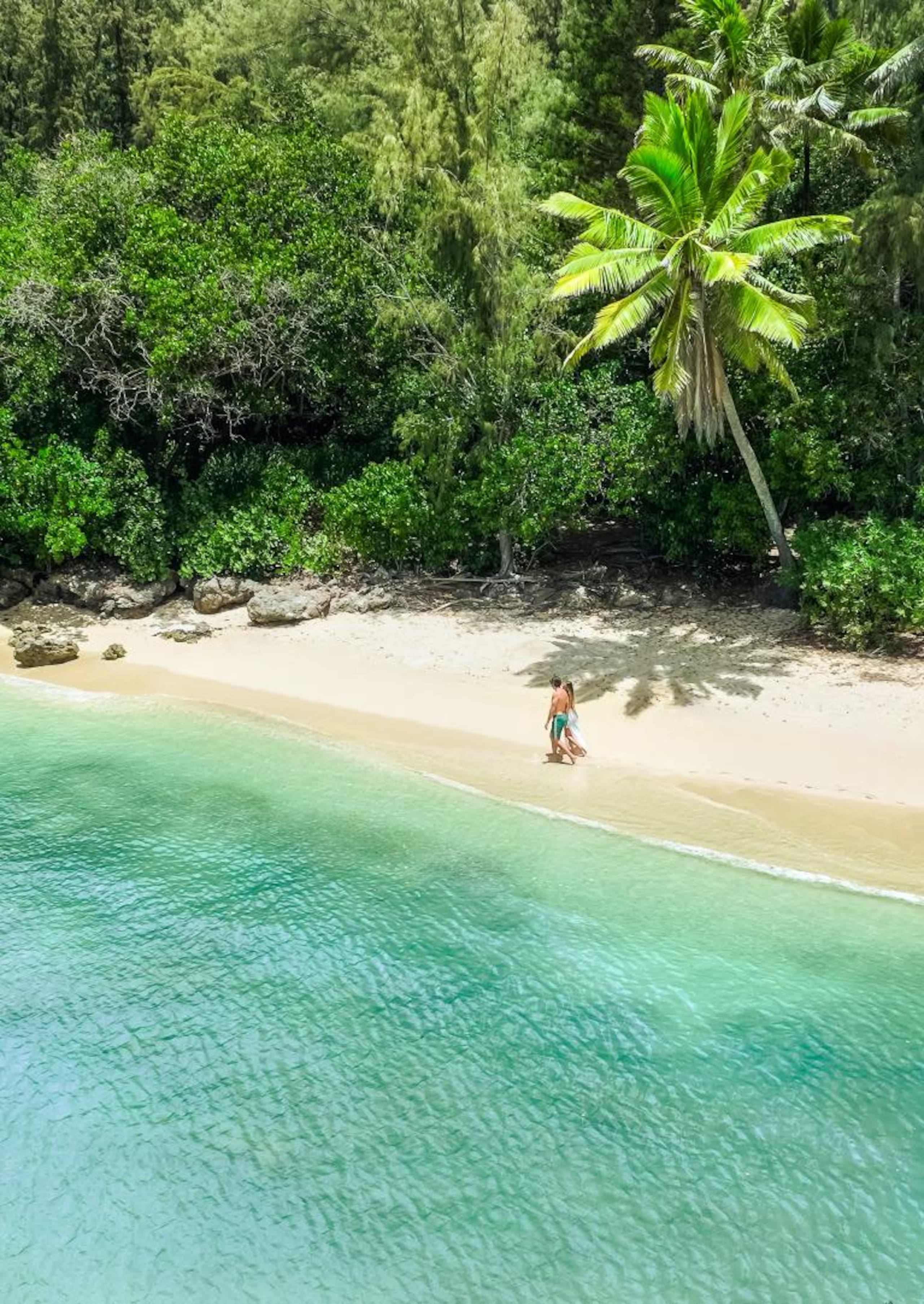 Hidden gem at North Shore Turtle Bay - Image 34