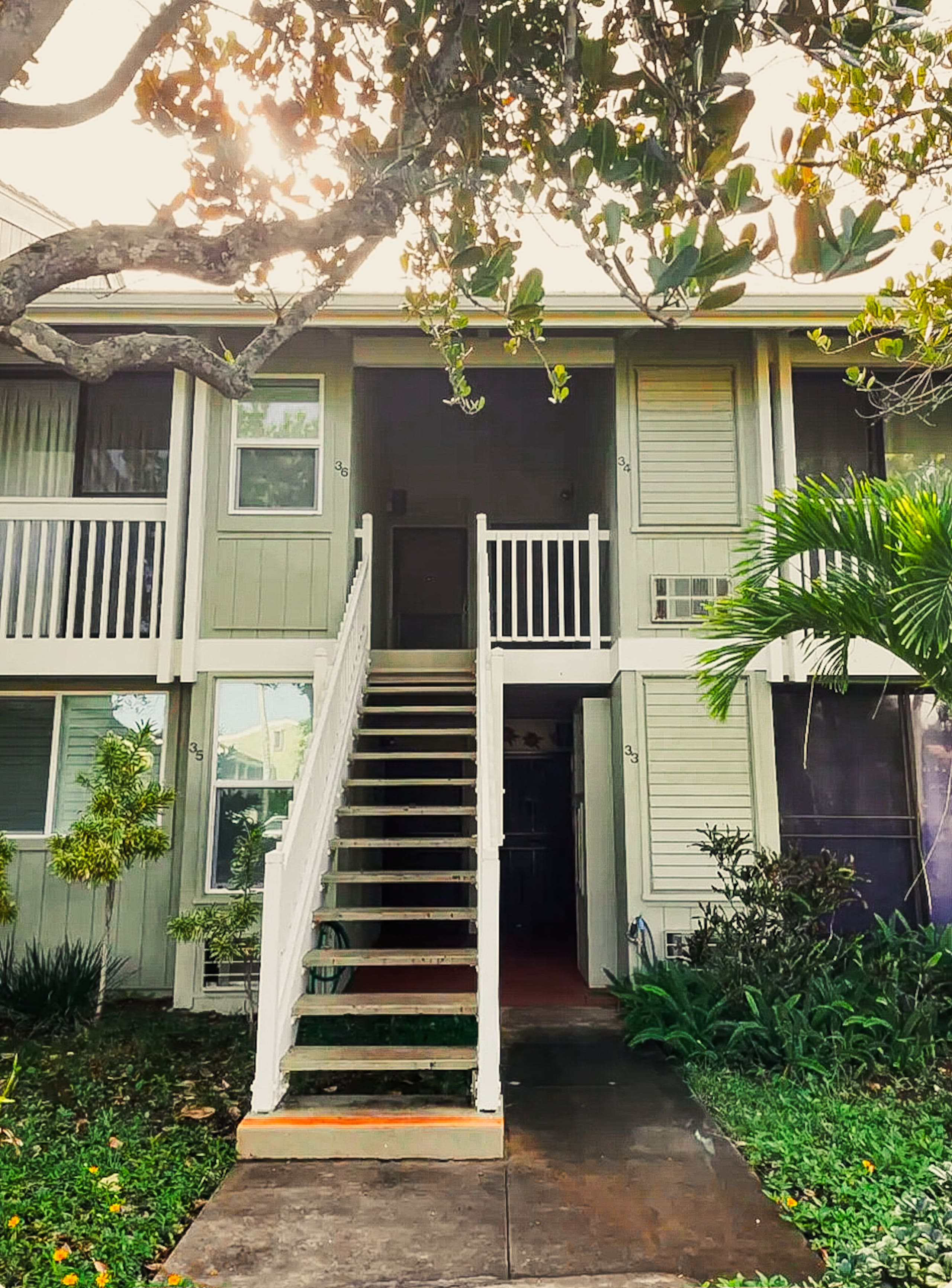 Hidden gem at North Shore Turtle Bay - Image 24