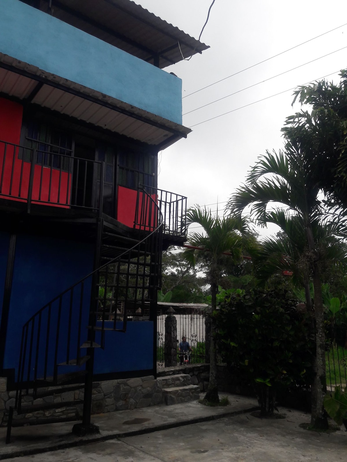 The exterior of a two-story building features a distinct color scheme of blue and red. A metal spiral staircase is visible on the side, leading to a second level. Framed by tropical plants, the surroundings convey a sense of greenery and relaxation.