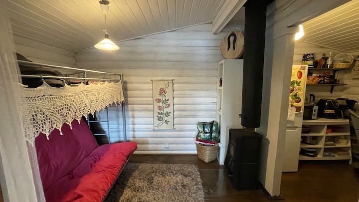 Pieni Mökki Järven Rannalla. - Tammela