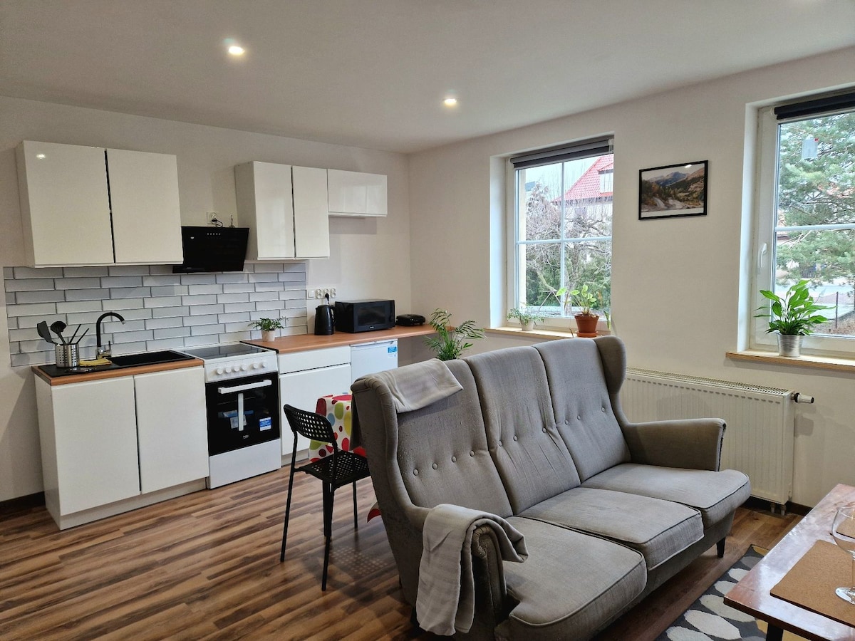 A modern kitchen area is displayed with white cabinetry and a tiled backsplash. A comfortable gray sofa is positioned in the inviting living space, complemented by potted plants on the windowsills. Natural light fills the room through large windows, enhancing the well-equipped environment.