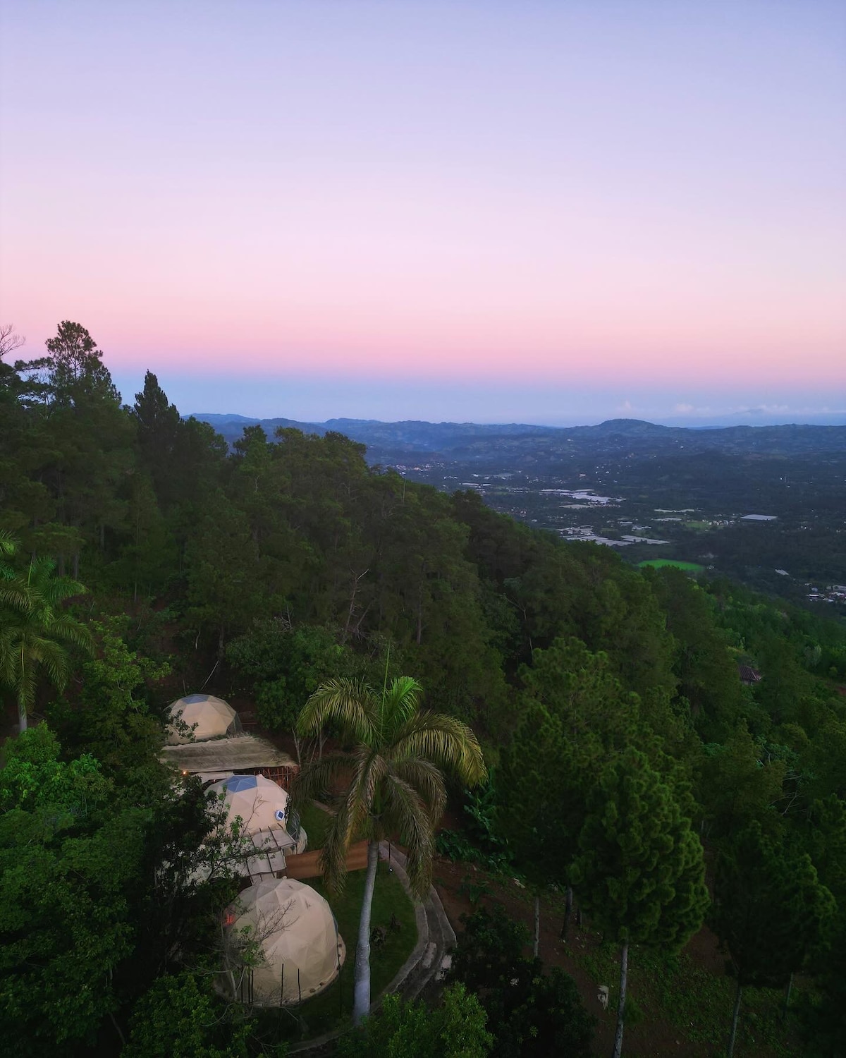 The image captures a scenic view of a forested hillside during twilight, with gentle shades of pink and blue in the sky. Nestled among the trees, two domes are visible alongside tall palms, offering a serene landscape that invites relaxation and connection with nature.