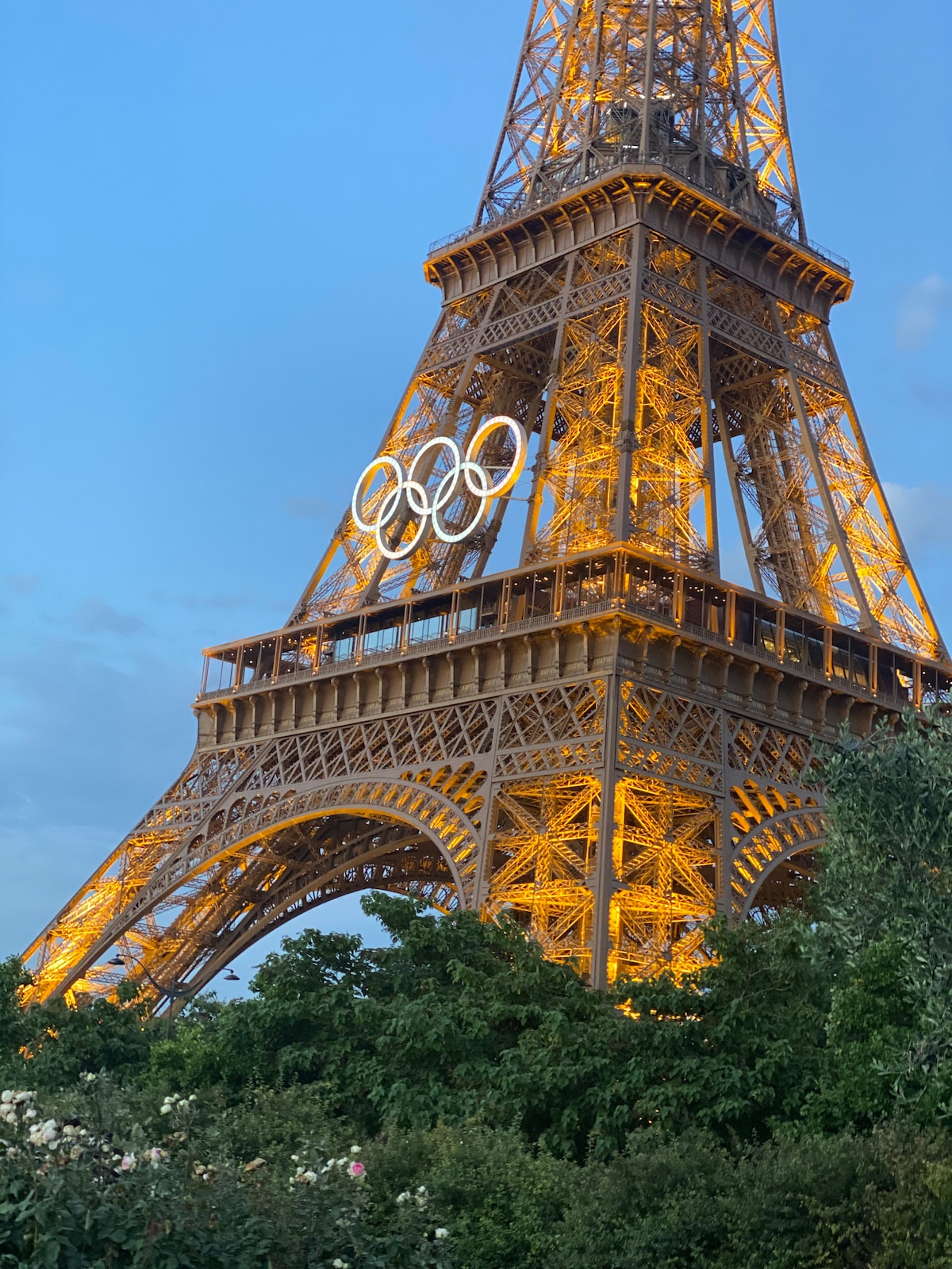 The Eiffel Tower is illuminated in warm golden light, showcasing its intricate iron lattice design. The Olympic rings are prominently displayed, adding a festive touch. Lush green foliage and flowers are visible in the foreground, creating a serene backdrop against the iconic monument.
