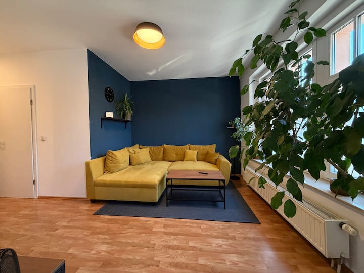 Gemütliche 2 Zimmerwohnung Mit Balkon - Plauen