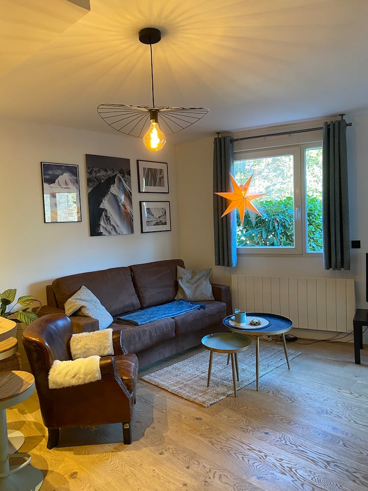 Logement Entier, Appartement - Meer van Annecy