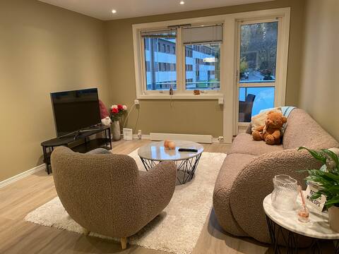 Popular Airbnb listing: Apartment 20 min from the city center! in Grorud