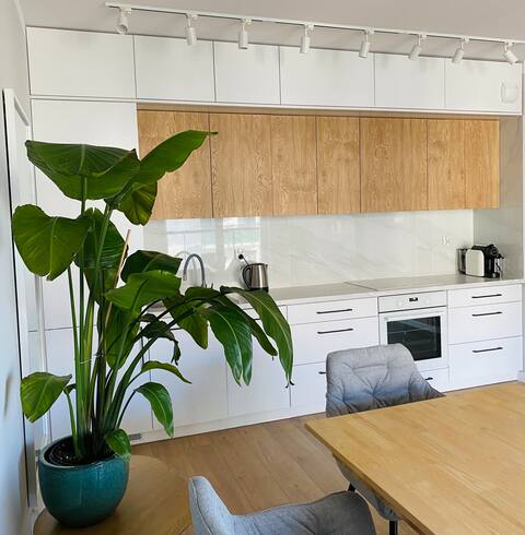 Top performing Airbnb: New,clean flat with free parking in Jagodno