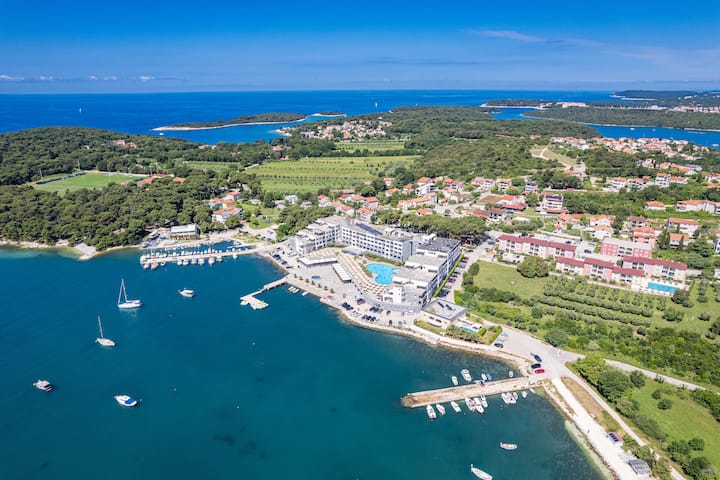 Grand Appartement Vue Mer Et Piscine - Banjole