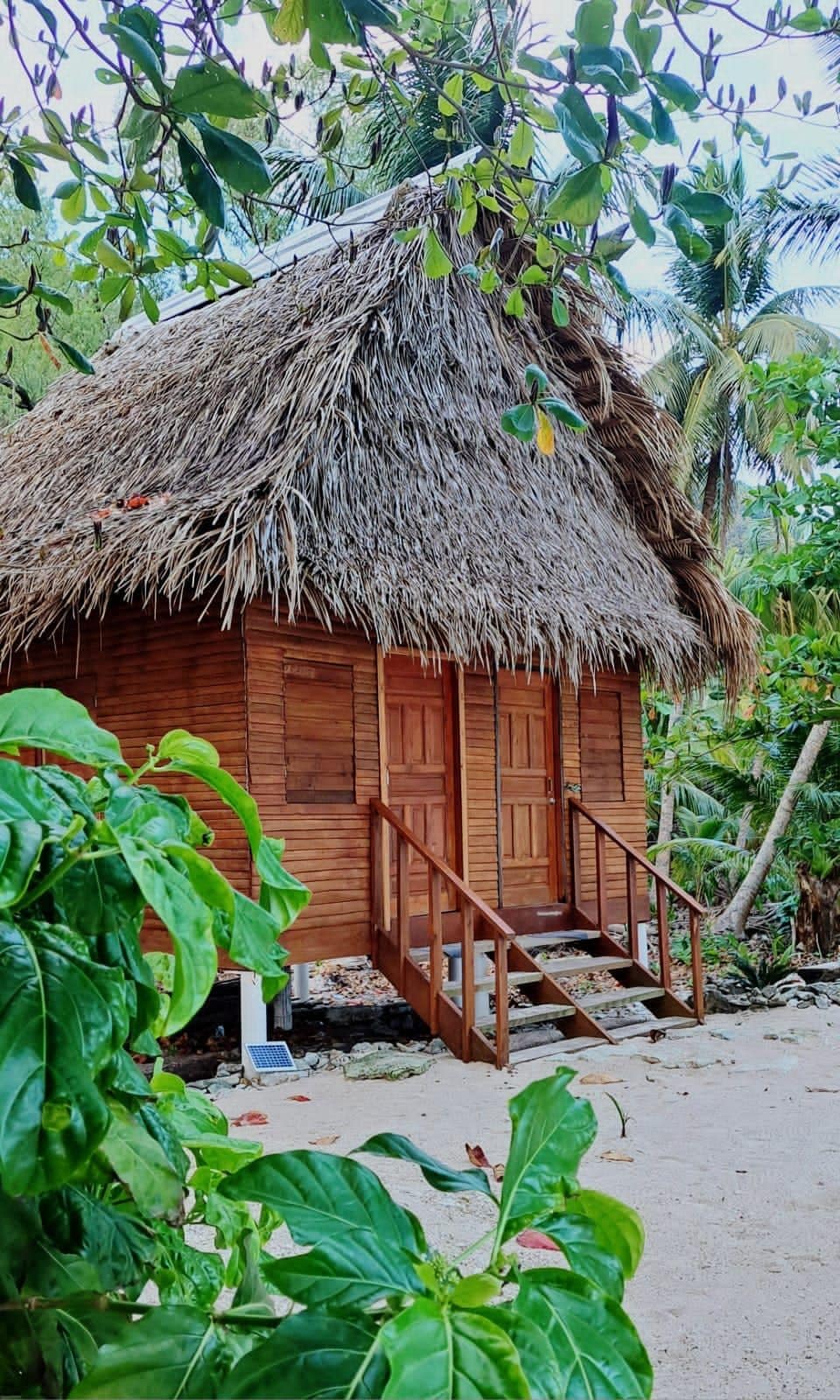 A wooden cabin with a thatched roof is set among lush tropical greenery. The structure features double doors and a staircase leading to the entrance, surrounded by vibrant foliage and sandy ground.