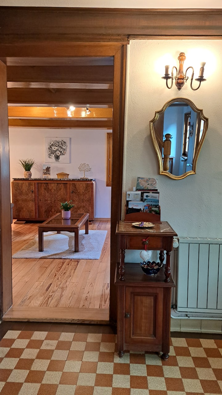 Maison Alsacienne Calme • Jardin • Strasbourg - Elzas