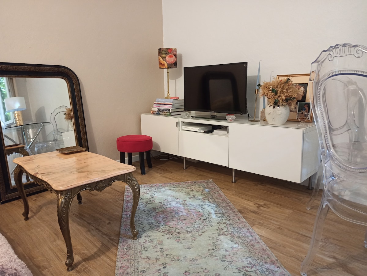 Top performing Airbnb: Downtown house in Faubourg Nord