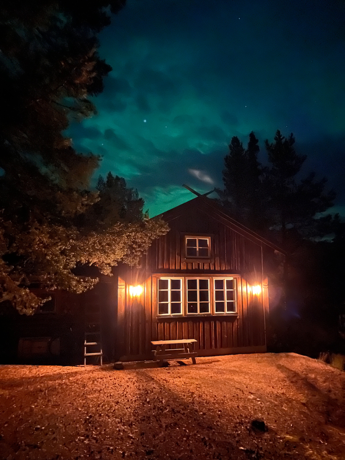 The charming wooden cabin is illuminated by warm outdoor lights against a dark night sky. A gently sloping pathway leads to the entrance. Tall trees frame the scene, and wisps of color in the clouds suggest atmospheric activity above.