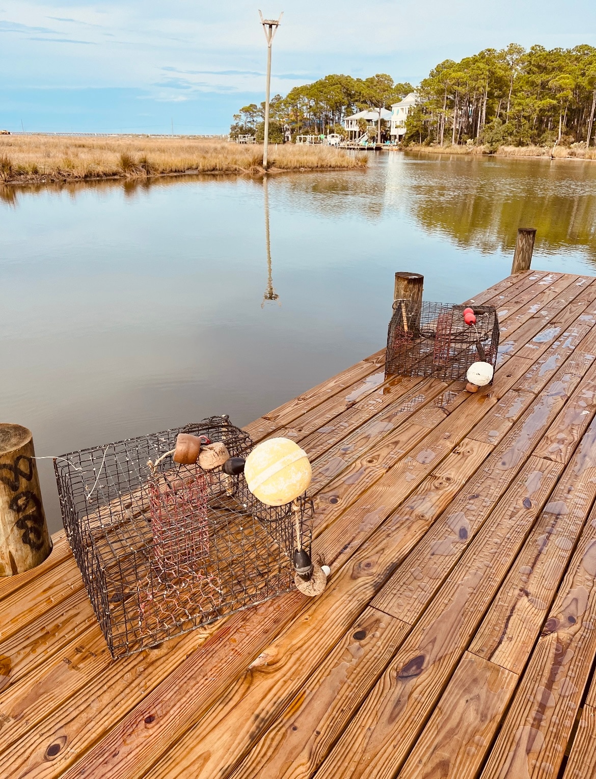 A wooden dock extends over calm water, featuring two crab traps positioned on its surface. Natural scenery is visible in the background, with trees lining the shore and a house partially seen beyond the dock.