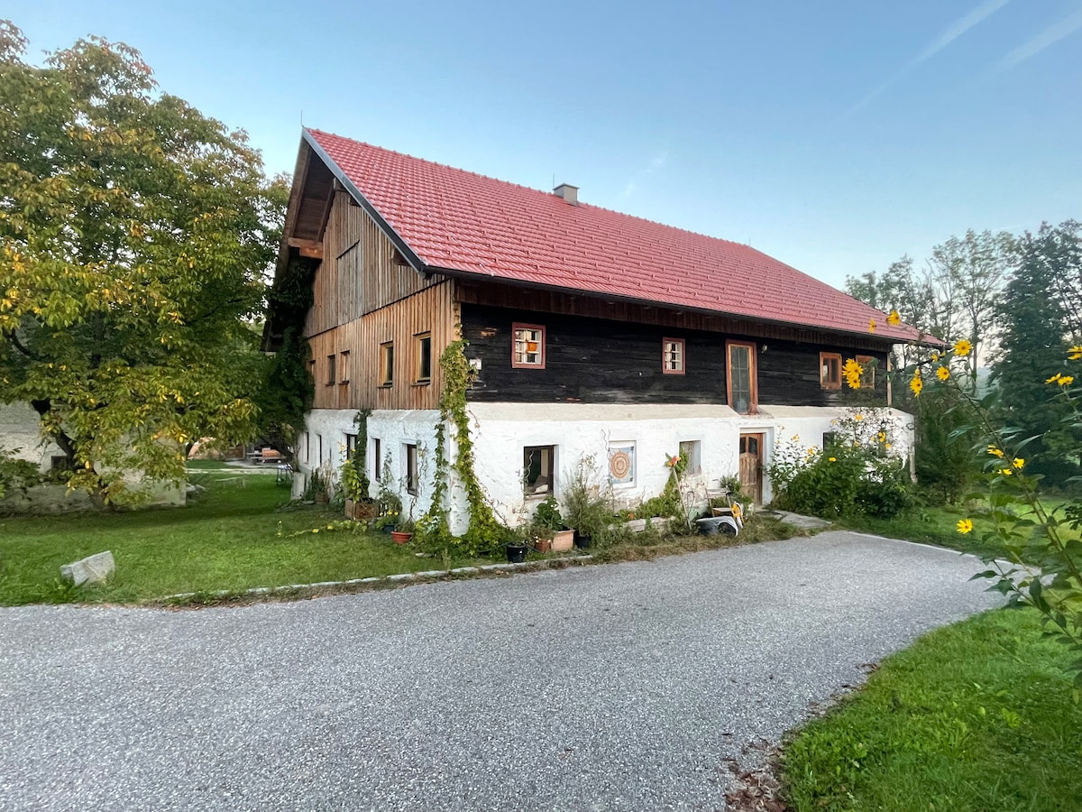 A rustic building is depicted, featuring a combination of wooden and white plastered walls. The sloped red roof complements the natural surroundings of green grass and trees. Small flower beds and plants decorate the pathway leading to the entrance.