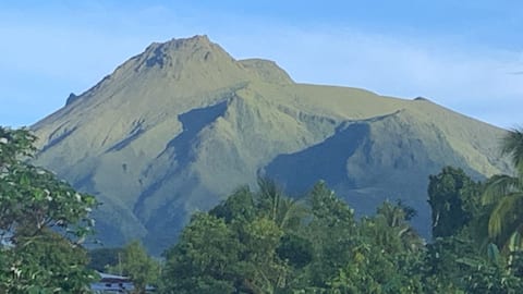 Mimi's Little Garden House