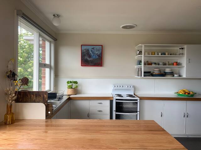 Sunny, silent West Hobart gem. gallery image 4