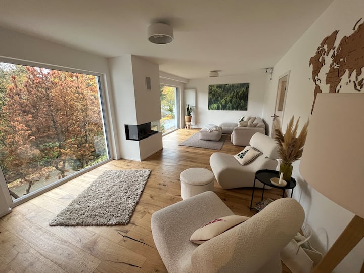 The modern house by the forest