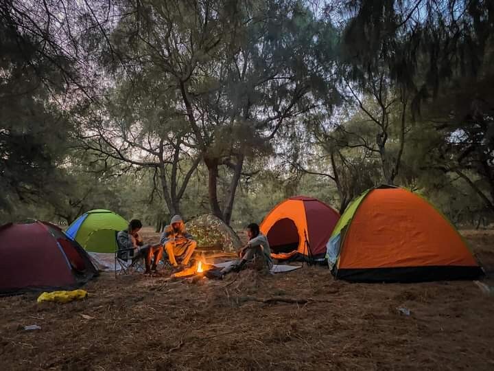 A serene campsite is surrounded by tall trees, where colorful tents in various shades encircle a small campfire. Gentle flames illuminate the area, with individuals seated on the ground, enjoying the warm ambiance of the evening.