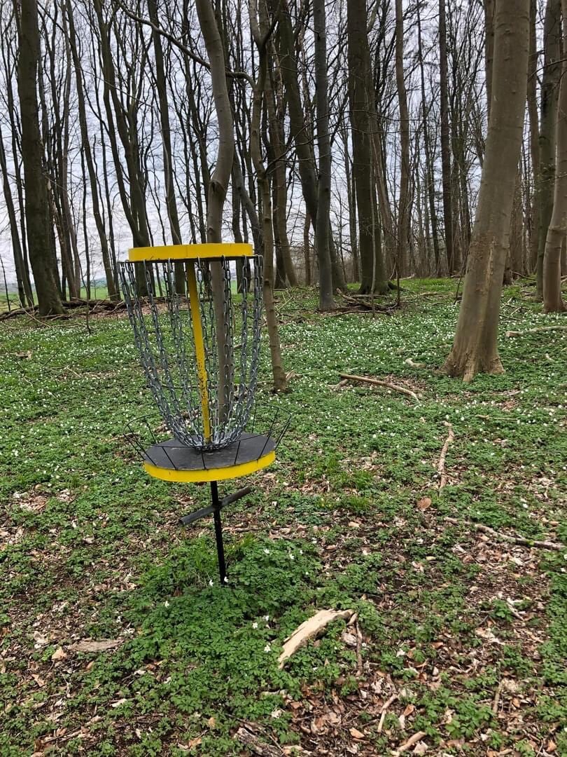 A disc golf basket is positioned prominently in a forested area, surrounded by a carpet of green foliage. The tree trunks are slender and spaced, creating a natural setting that complements the basket's yellow and black design.