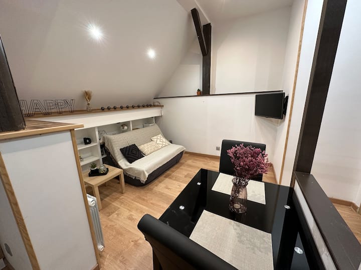 Charmant Studio Indépendant - Brumath