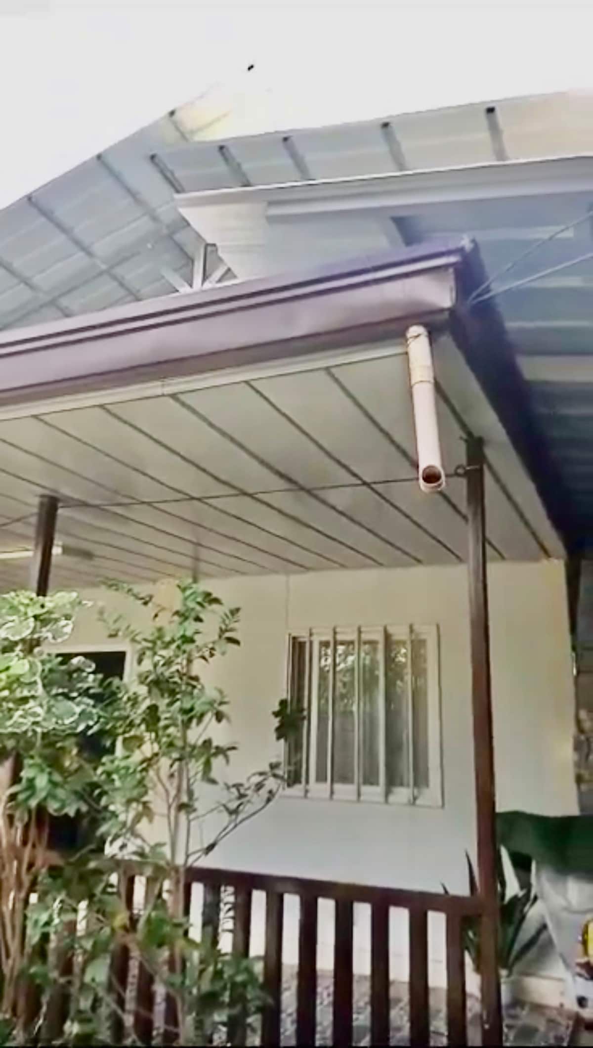 A covered porch is displayed, supported by wooden posts. Greenery surrounds the entrance, with a simple white structure visible behind. A window with horizontal bars allows light into the interior, while a metal roof provides shelter from the elements.