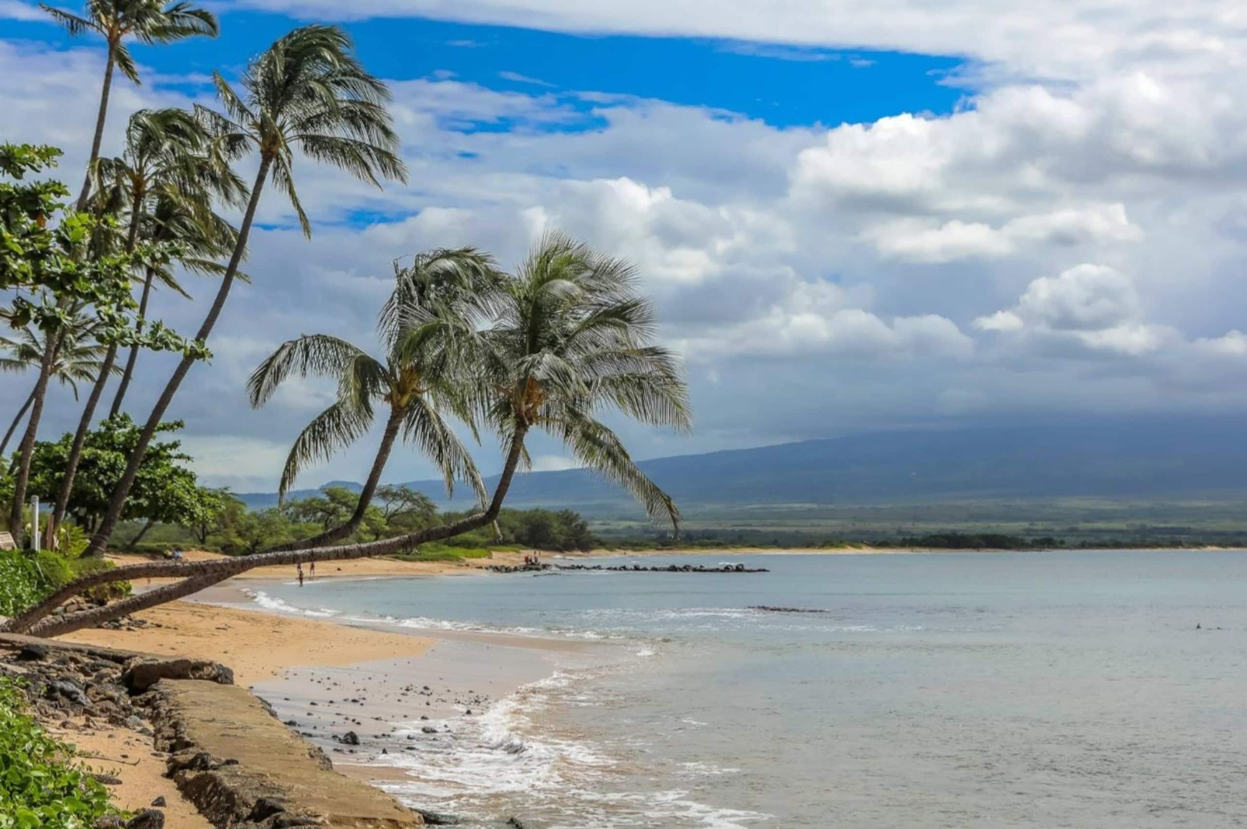 Condo in Wailuku · ★4.83 · 2 bedrooms · 2 beds · 2 baths - Image 25