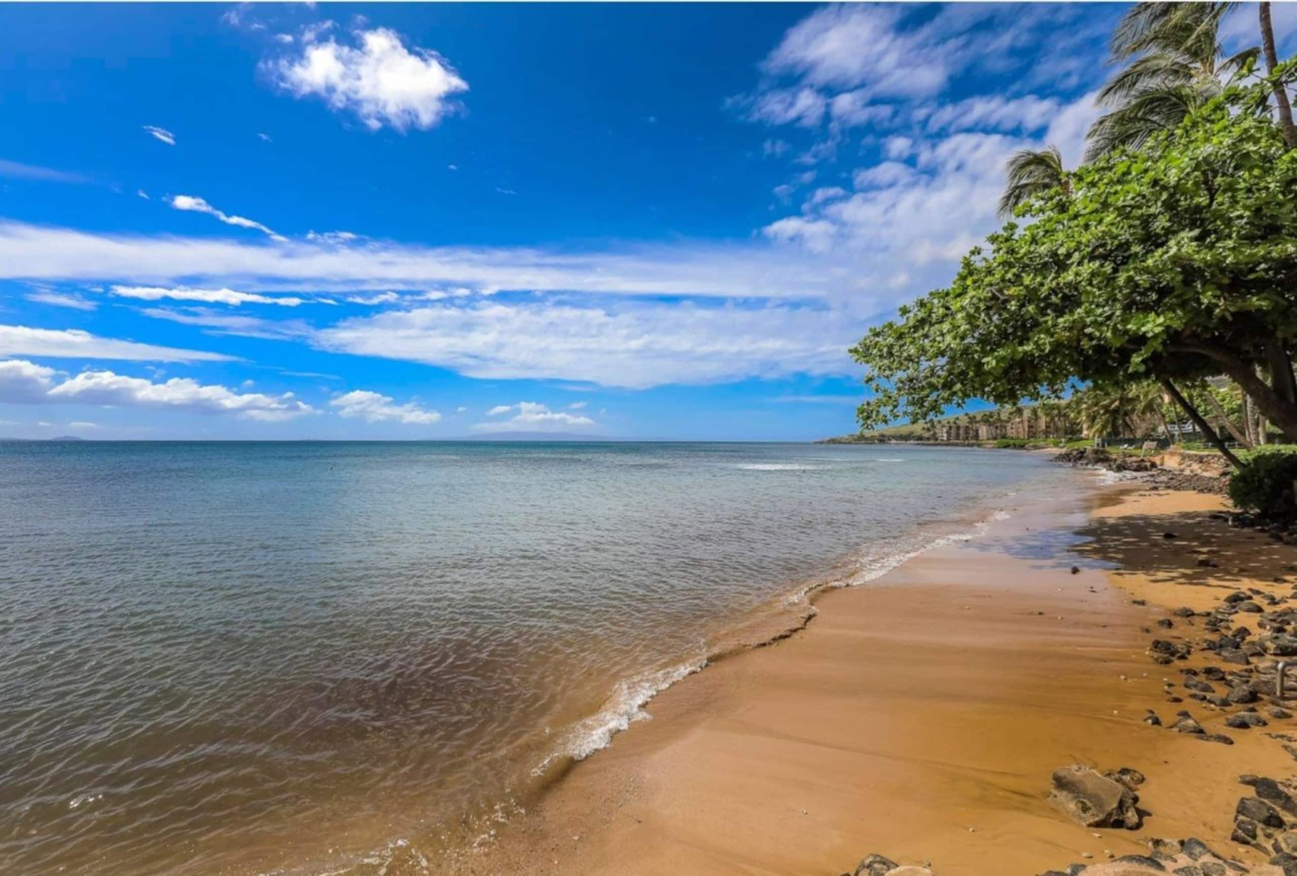 Condo in Wailuku · ★4.83 · 2 bedrooms · 2 beds · 2 baths - Image 26