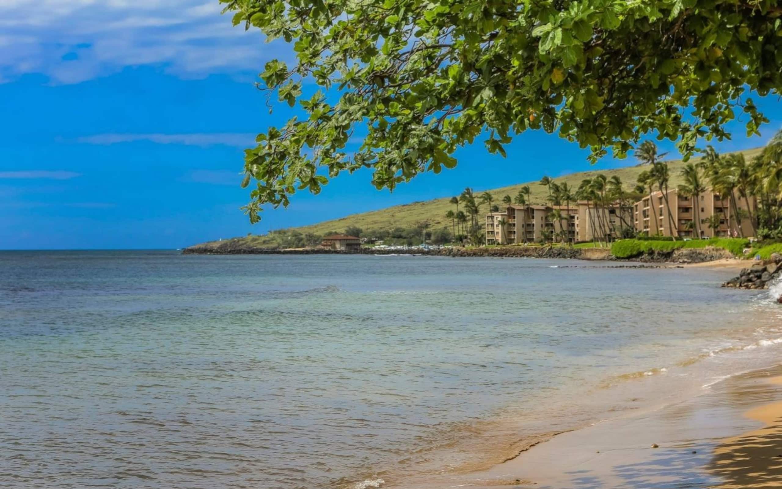 Condo in Wailuku · ★4.83 · 2 bedrooms · 2 beds · 2 baths - Image 27