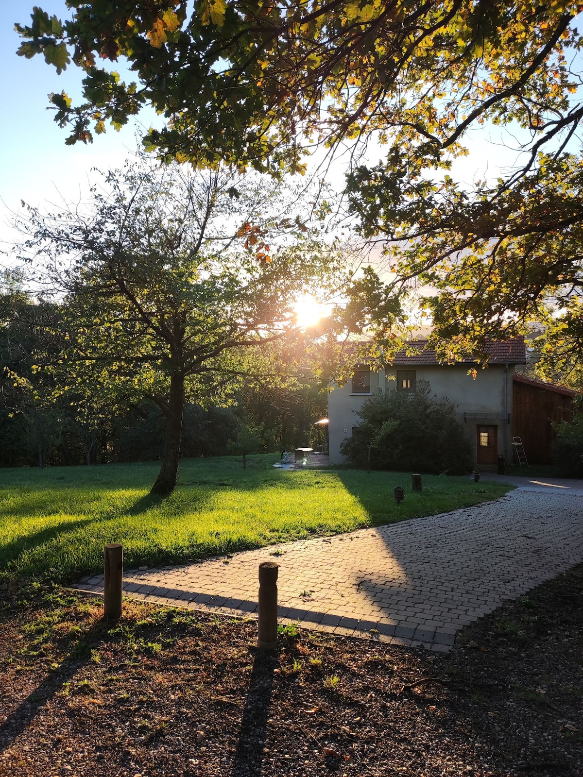 A serene outdoor view features a charming house nestled among lush greenery. Sunlight filters through trees, casting soft shadows across the pathway. The area is surrounded by grass and open space, promoting a peaceful atmosphere in a natural setting.