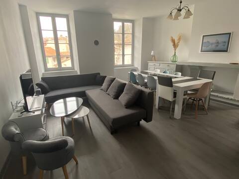plein centre,clim, patio, jardin, parking inclus