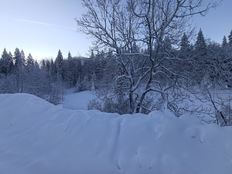 Les Etoiles de Bevy /Modular HAUT JURA