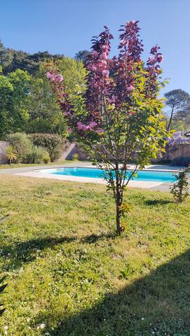 Villa moderne piscine Bordeaux gallery image 4