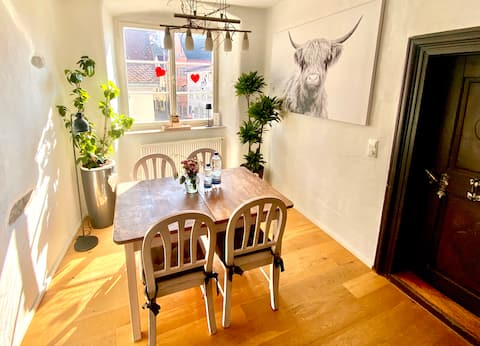 Modern old town apartment