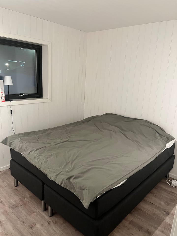 Habitación 1