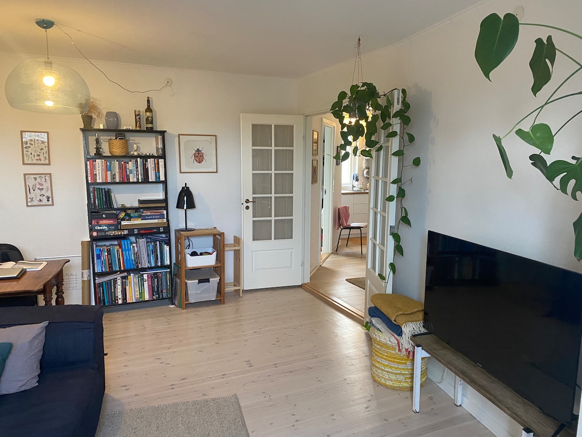 منطقة المعيشة