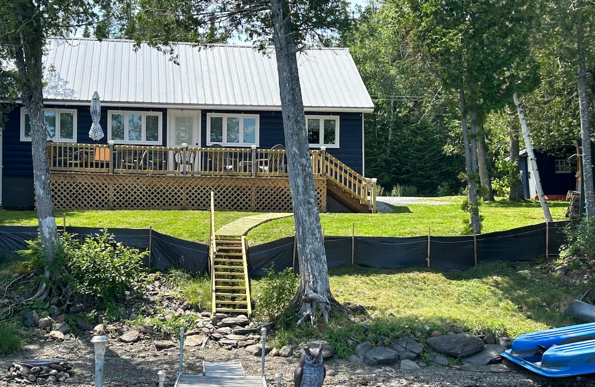 A cozy cabin exterior is set against a backdrop of lush greenery. A wooden deck with chairs invites relaxation, while a gently sloped pathway leads to the entrance. The cabin's dark blue exterior contrasts with the bright sky, enhancing its welcoming presence by the lake.