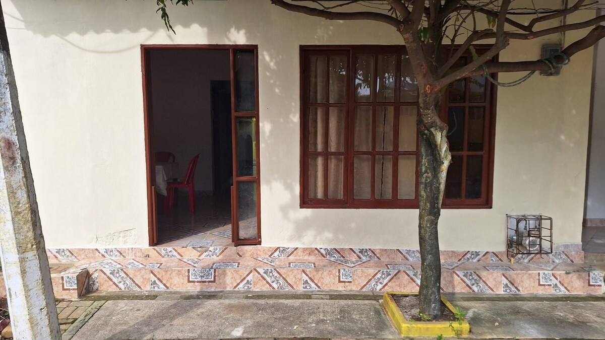 The exterior features a light-colored wall with a decorative tiled base. A large window bordered by wooden frames allows for ample natural light, while a doorway opens into the interior. A tree provides shade near the entrance.