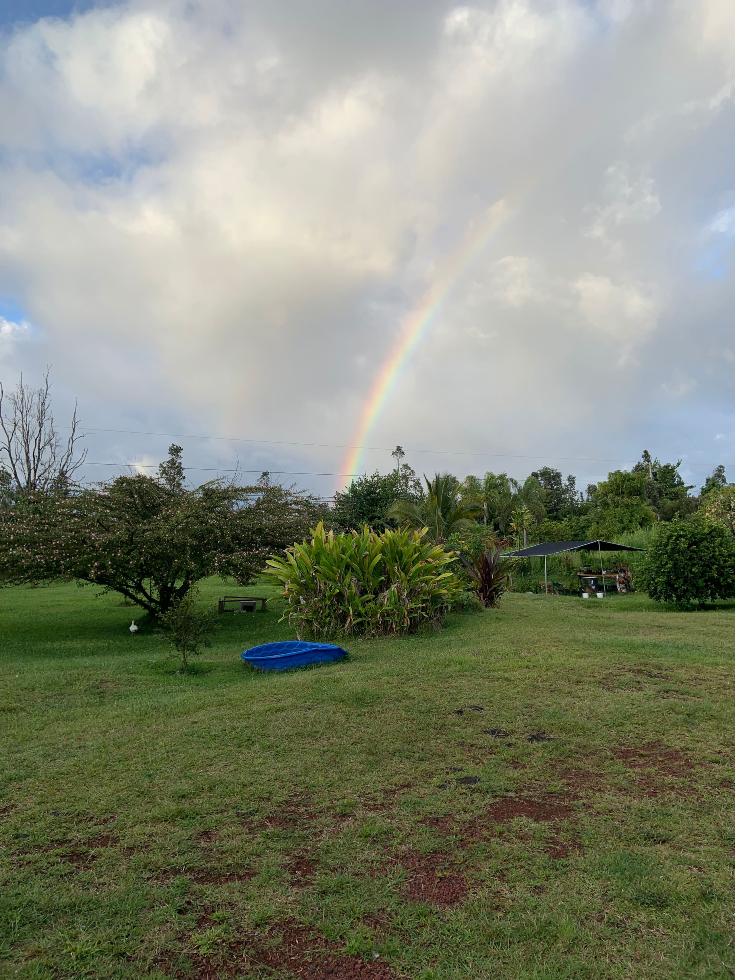 Big Island Small Farm Experience - Photo 33