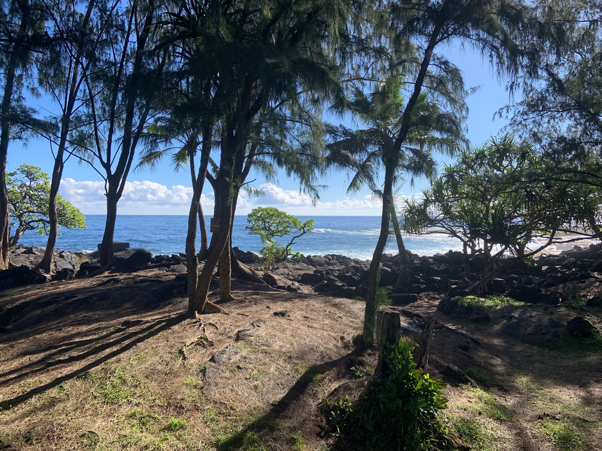 Big Island Small Farm Experience - Photo 43