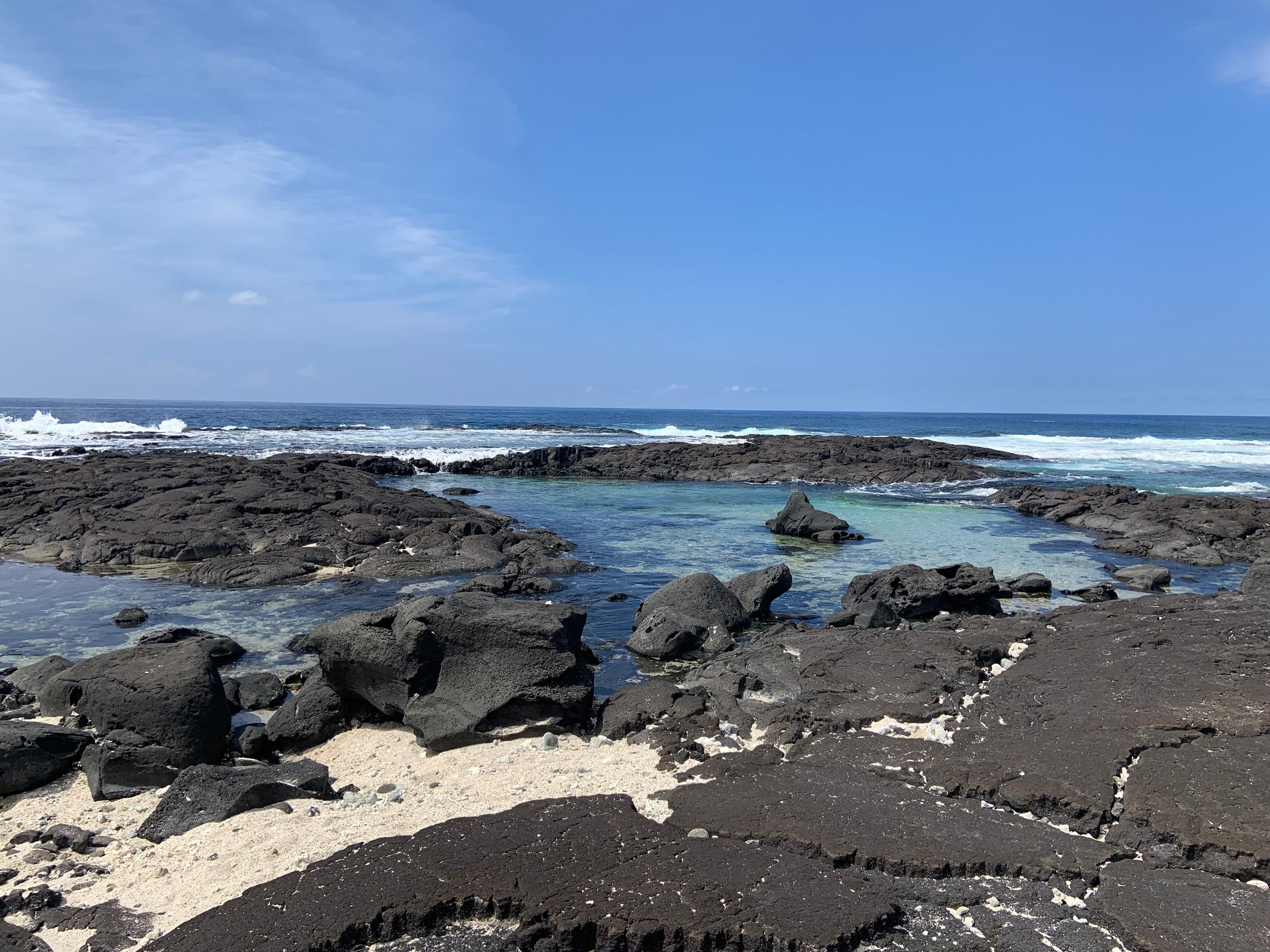 Big Island Small Farm Experience - Photo 28