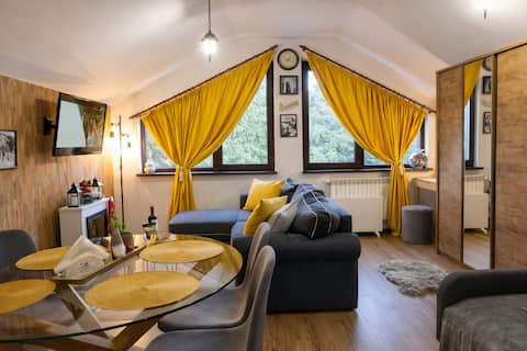 Top Airbnb: Borovets Dream Studio in Самоков