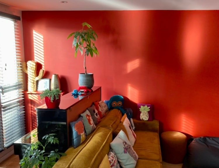 A cozy living area features a warm red wall, with natural light casting shadows across the space. A comfortable couch adorned with various cushions is present, alongside a potted plant. A small table with decorative items sits in front of a set of large glass doors, leading to an outdoor area.