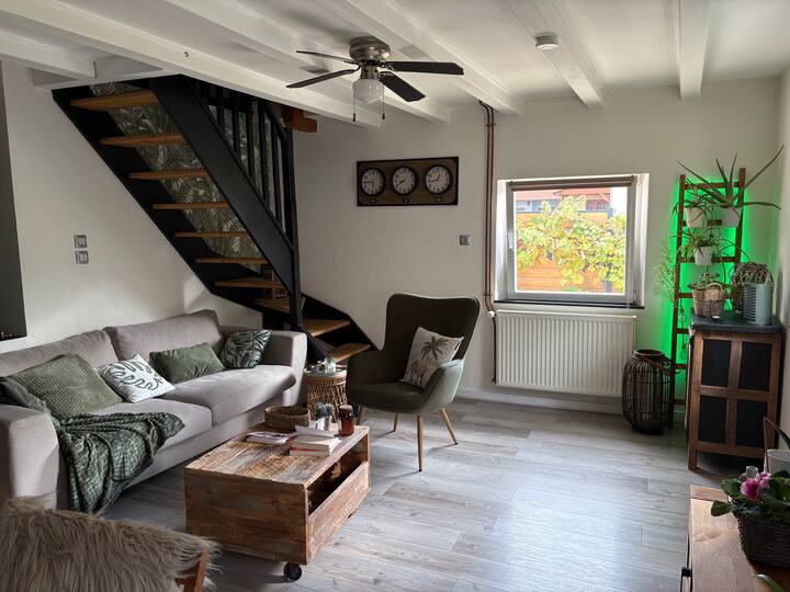 Maison Chaleureuse - Benfeld