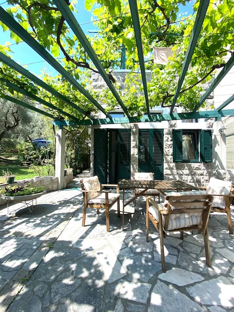 Spacious apartment | Massive Lounge Patio