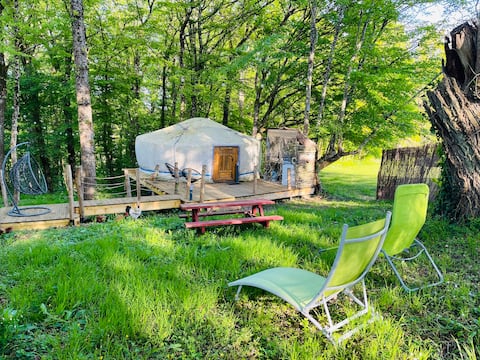 Mongolian yurt in the woods